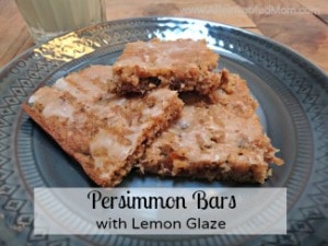 Persimmon Bars