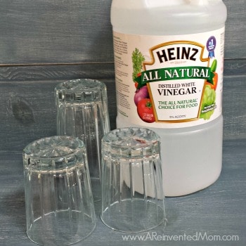 DIY Dishwasher Rinse Aid |A Reinvented Mom