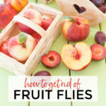 Peaches & plums in a crate. Homemade Fruit Fly Trapper | A Reinvented Mom