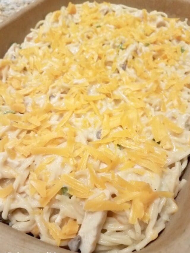 Easy Weeknight Chicken Spaghetti Story