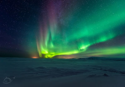 The Northern Lights