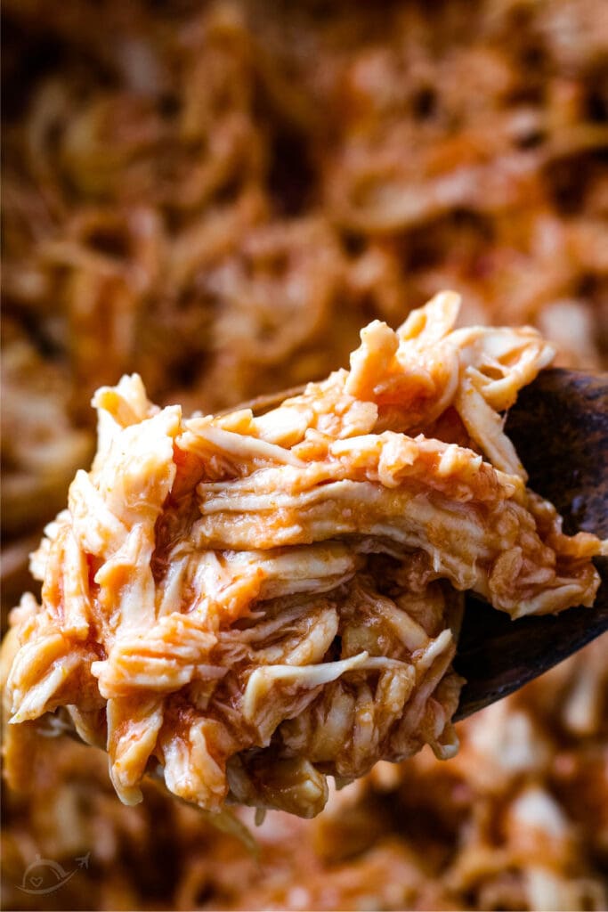 closeup of pulled BBQ chicken on a serving spoon