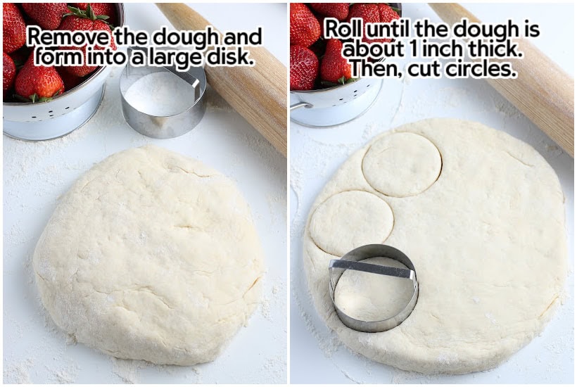 Biscuit dough on a floured counter with a biscuit cotter.