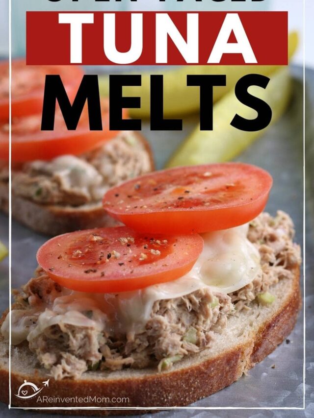 open faced tuna melt with another one and a pickle in the background with text overlay