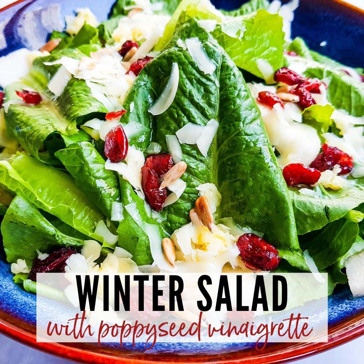 close of of a winter salad with pear topped with a lemon poppyseed dressing