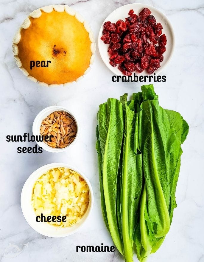 ingredients for winter salad and poppyseed dressing