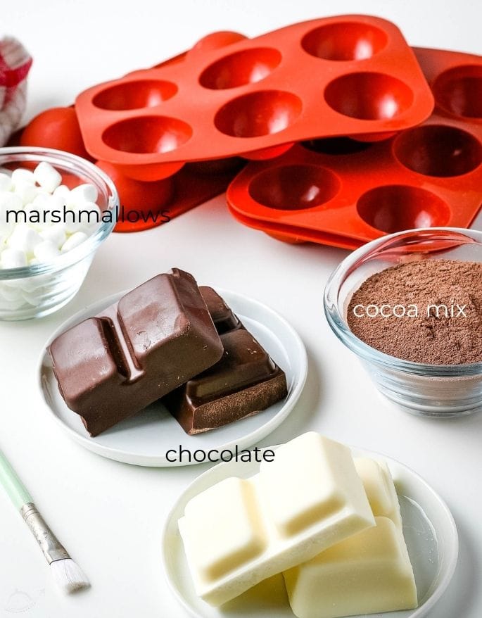 ingredients for hot chocolate bombs