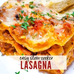 closeup view of slice of lasagna with graphic overlay