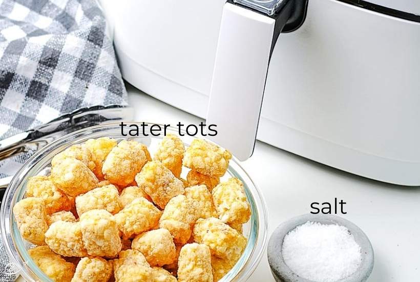 ingredients labeled for air fryer frozen tater tots