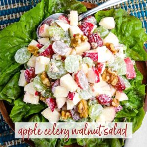 top shot of apple celery walnut salad on lettuce with text overlay