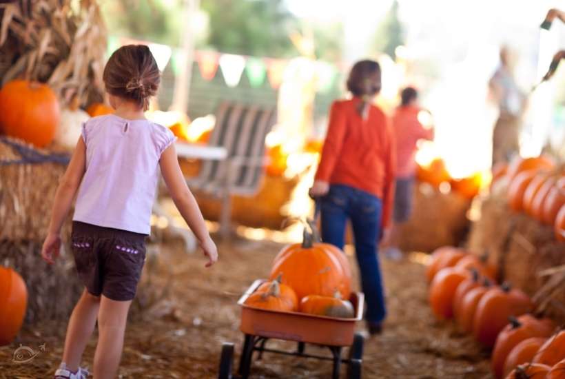 children at a pumpkin patch, one pulling a wagon filled with pumpkins