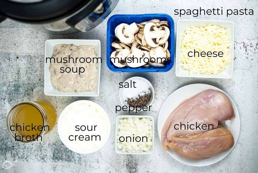 labeled ingredients to make chicken tetrazzini