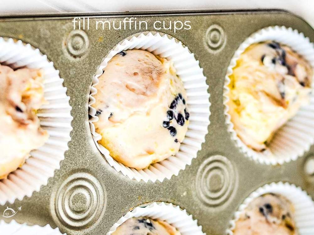 muffin cups filled with batter before baking