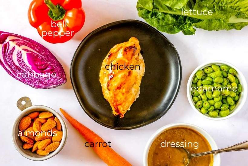 ingredients needed to make copycat panera thai chicken salad