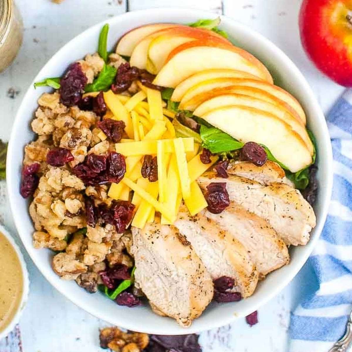 top view of chicken harvest salad with nuts, cranberries, cheese, and apples