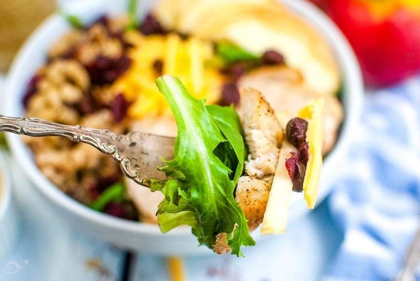 a scoop of harvest chicken salad on a fork