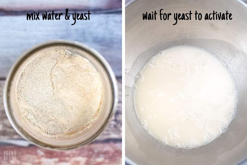 water and yeast mixed together waiting to activate