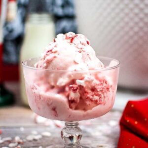 front view of peppermint ice cream in a small glass sundae dish