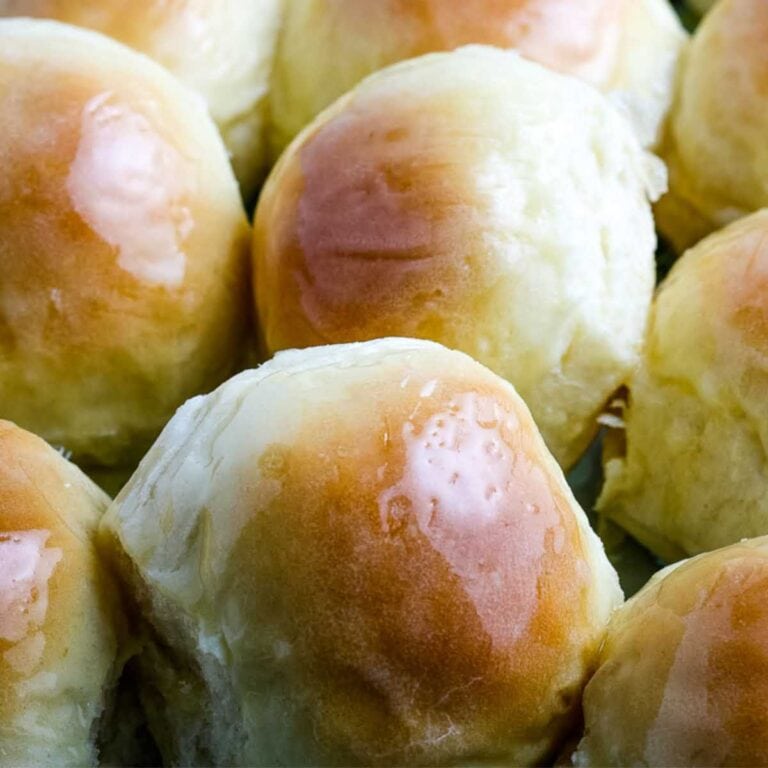 Easy Yeast Rolls for Beginners