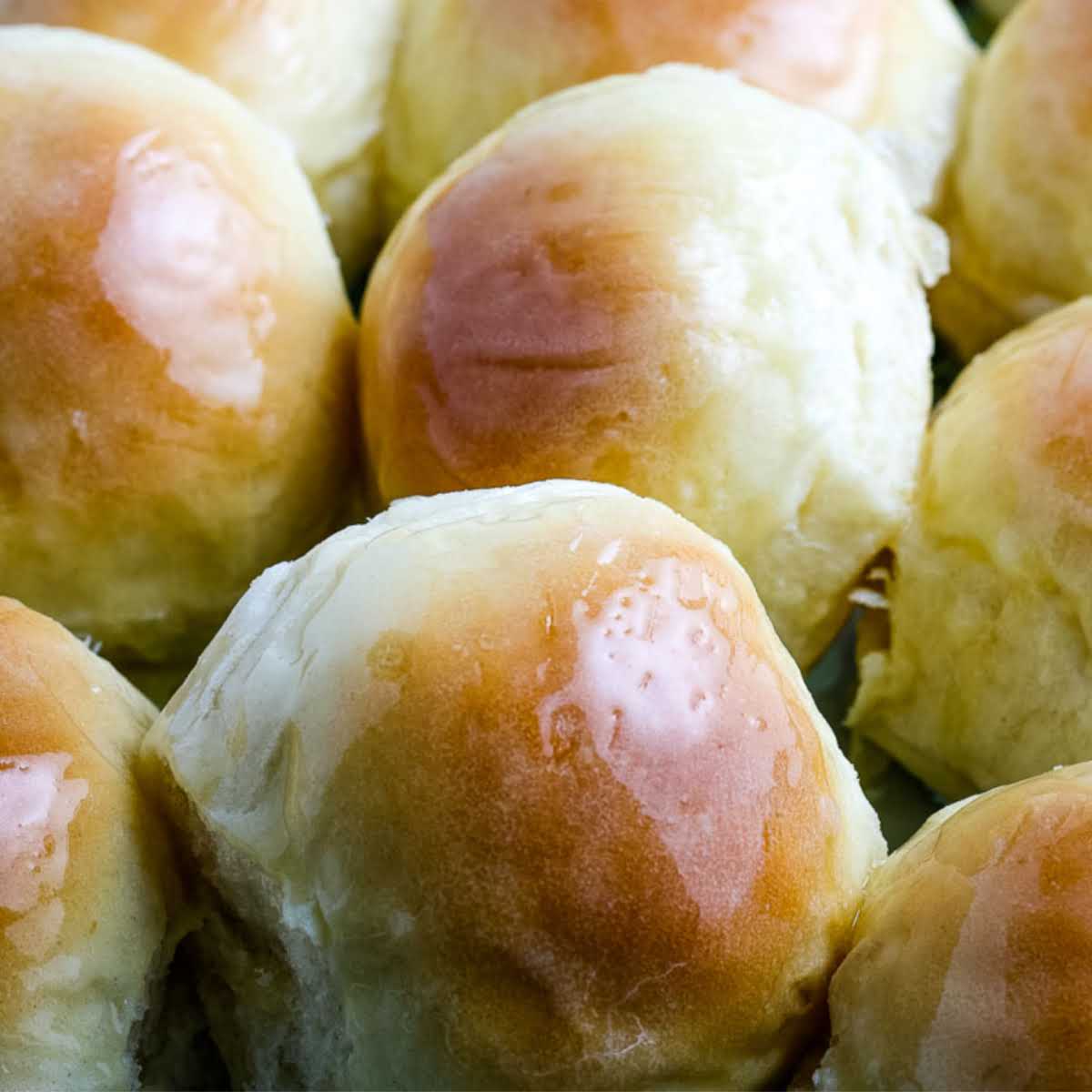 closeup view of baked yeast rolls with butter.
