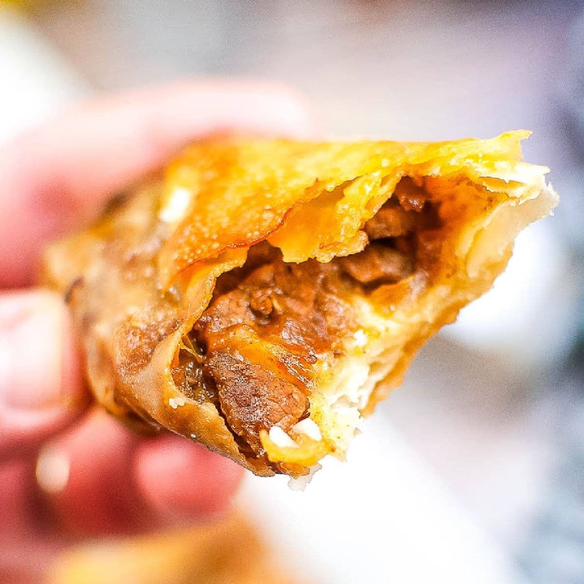 closeup of a hand holding a partially eaten air fried cheesesteak egg roll.