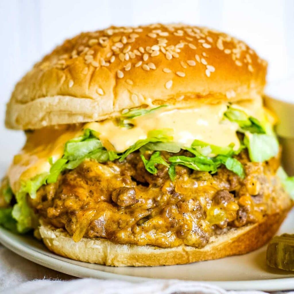 Big mac sloppy joes on a plate.
