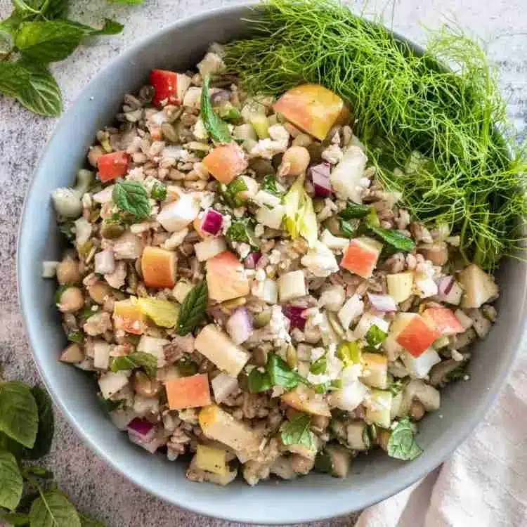 A salad made of chopped apples, fennel and creamy dressing.