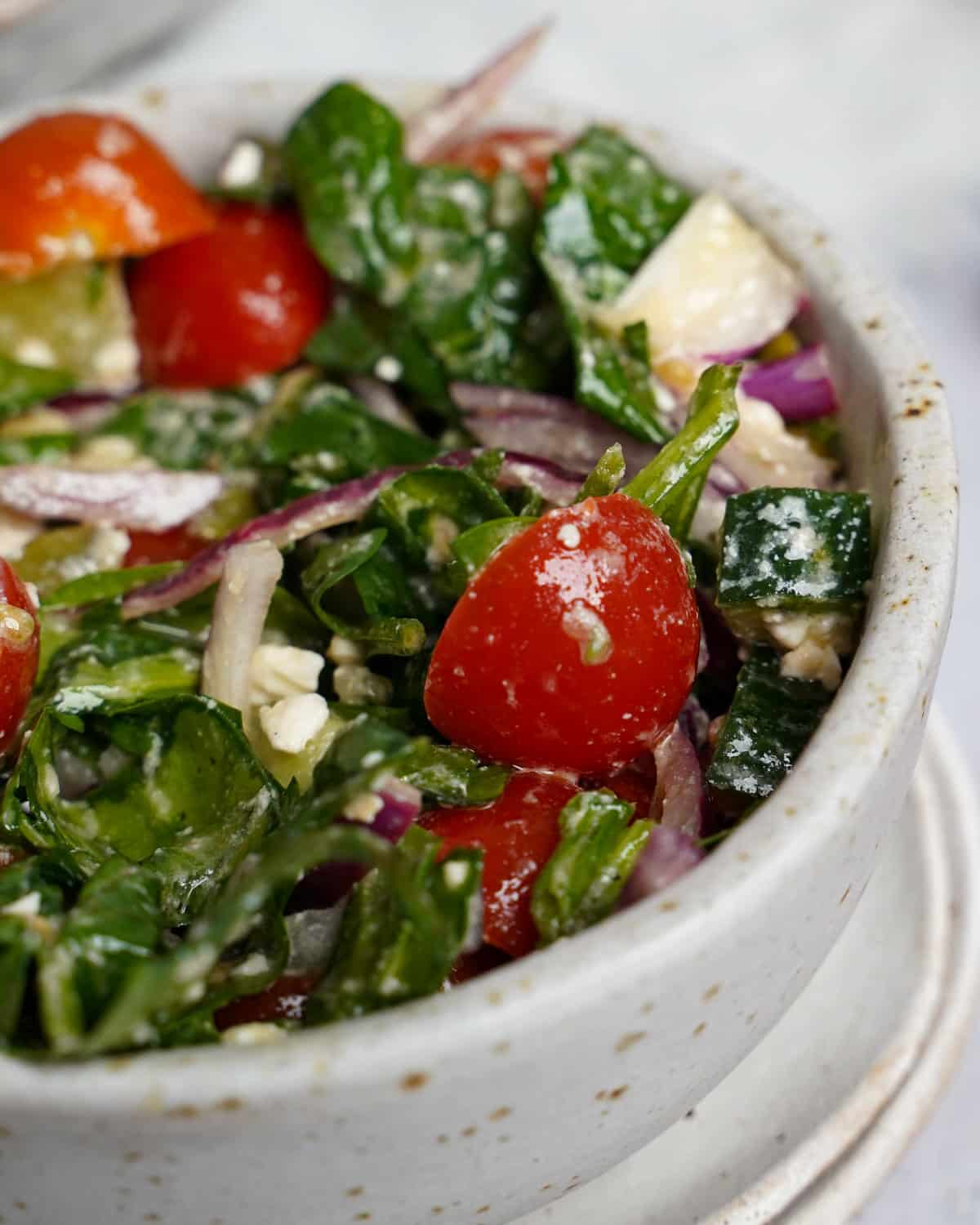 A simple salad of tomatoes, cheese and onion.