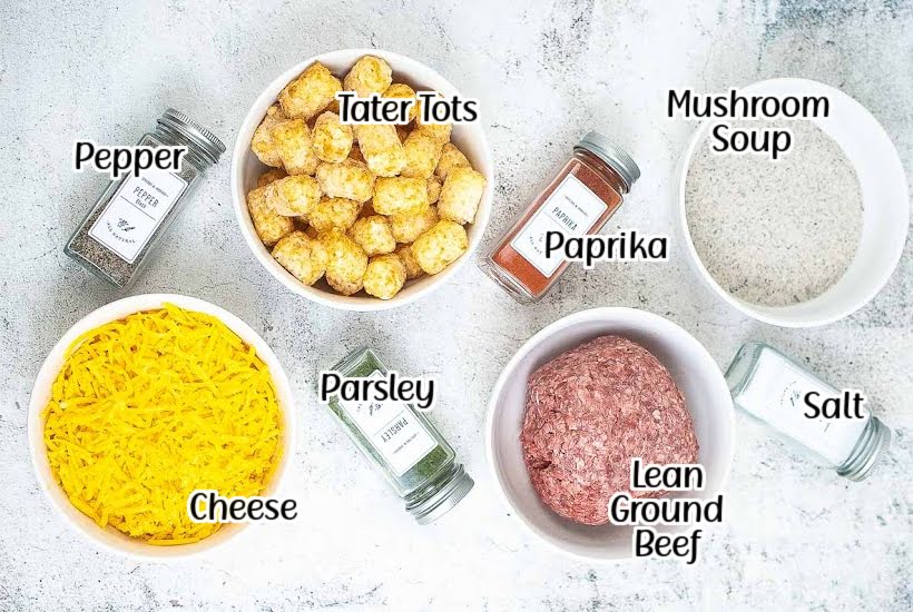 Labeled ingredients to make tater tot casserole in the air fryer.