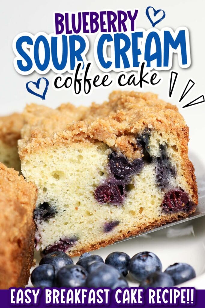 Closeup view of a slice of blueberry and sour cream coffee cake being removed from the pan with graphic text overlay.