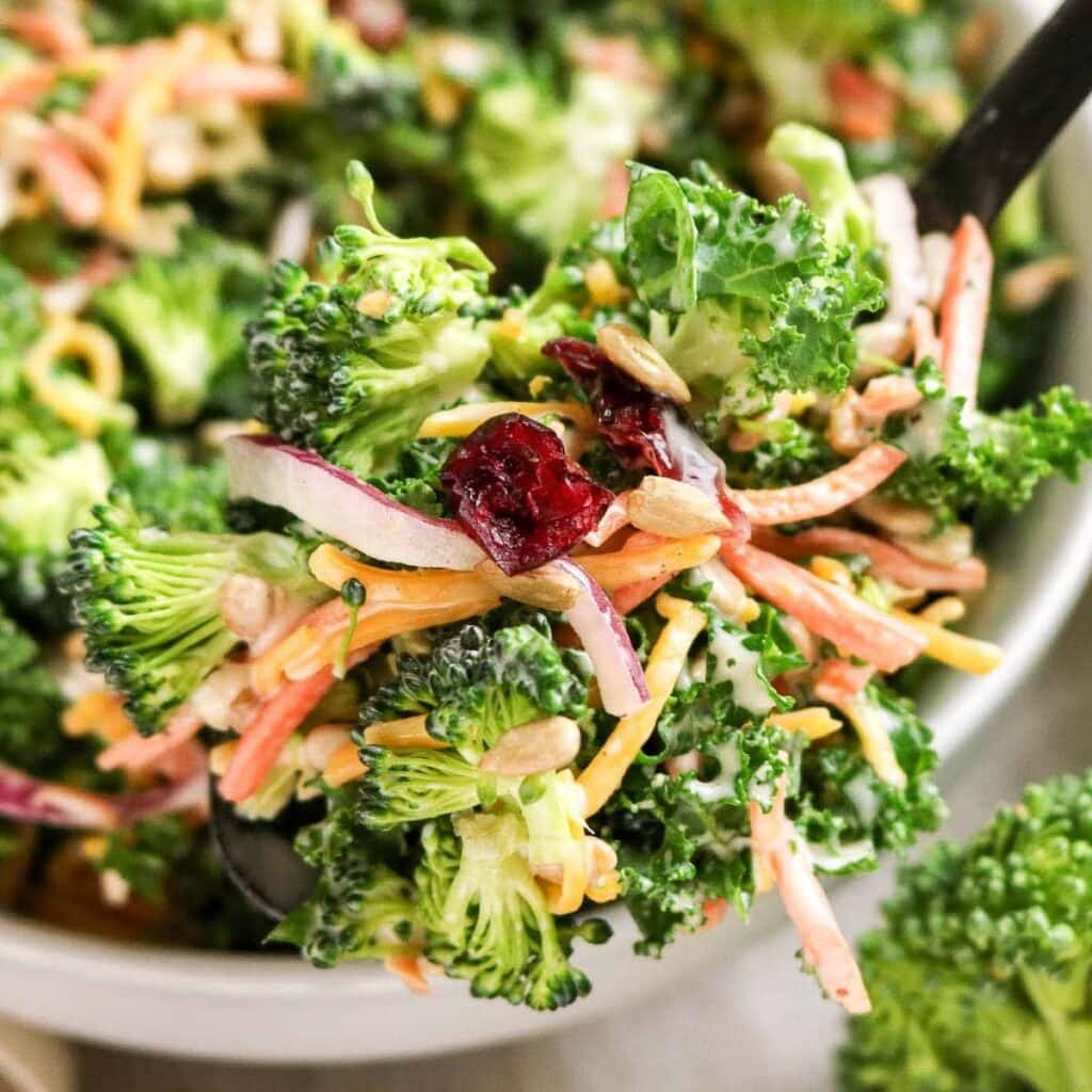 Close up view of a forkful of broccoli and kale salad in white bowl.
